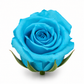Rosa Princesa Preservada