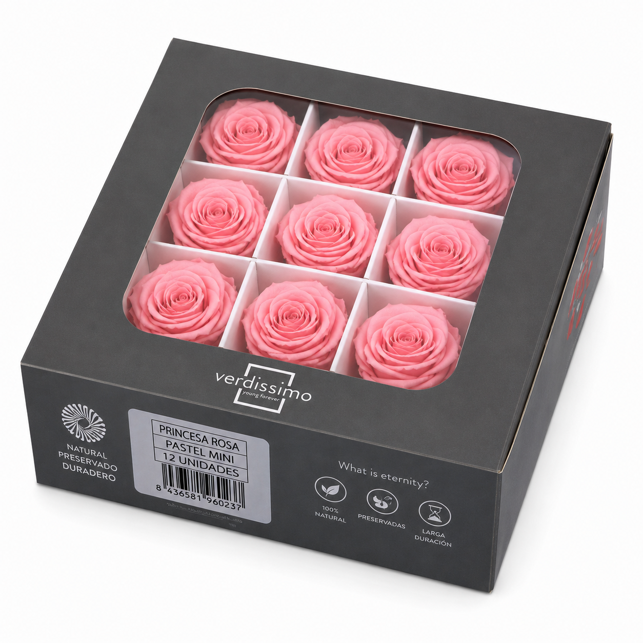 Rosa Mini Preservada