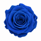 Rosa Mini Preservada