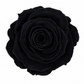 Rosa Mini Preservada