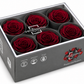 Rosa Standard preservadas