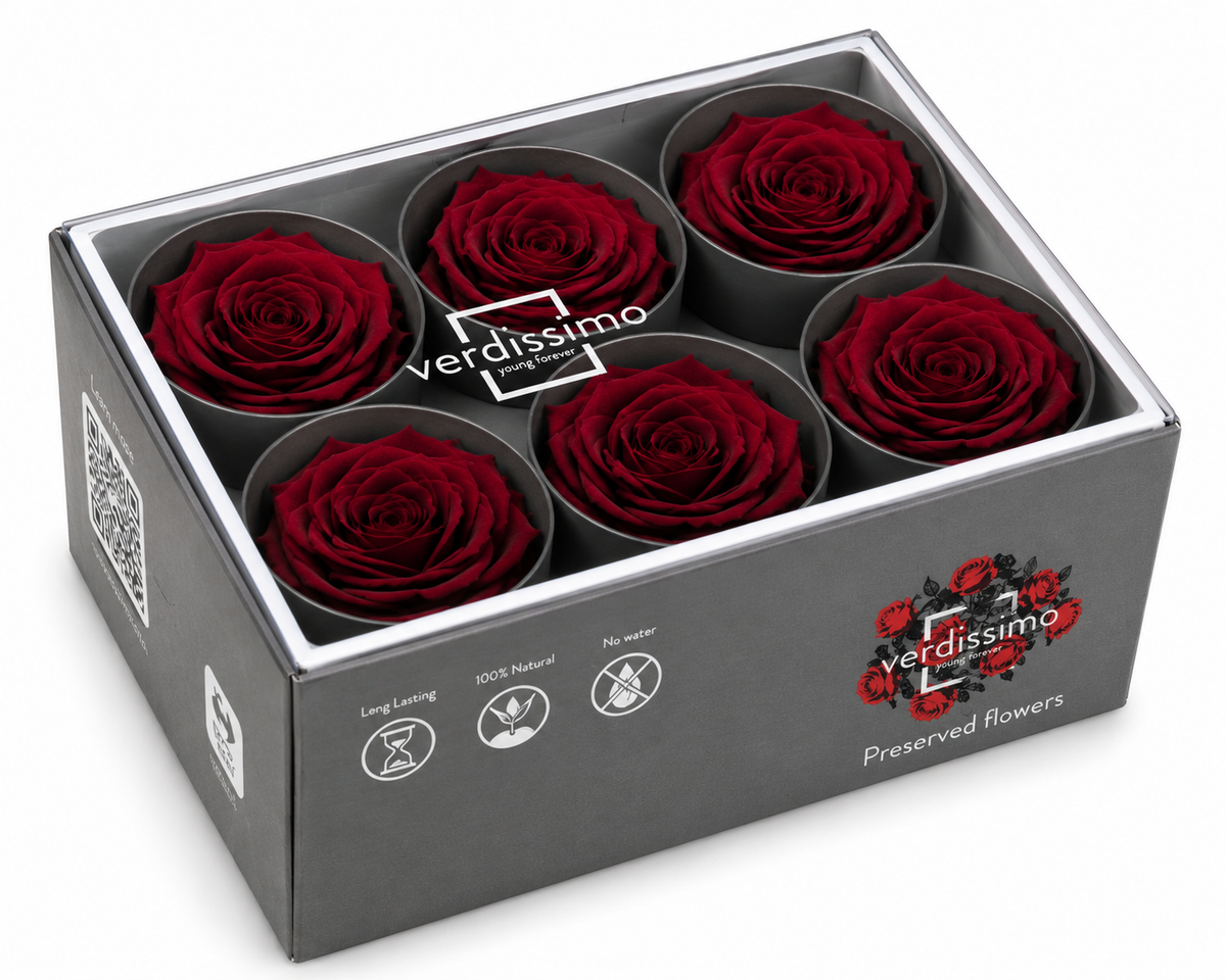 Rosa Standard preservadas