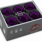 Rosa Standard preservadas