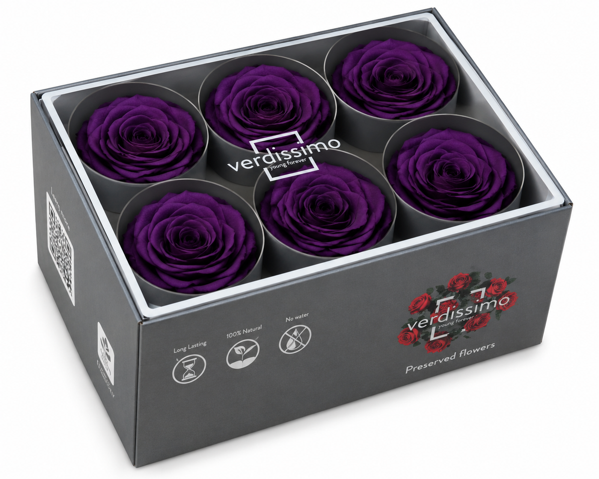 Rosa Standard preservadas