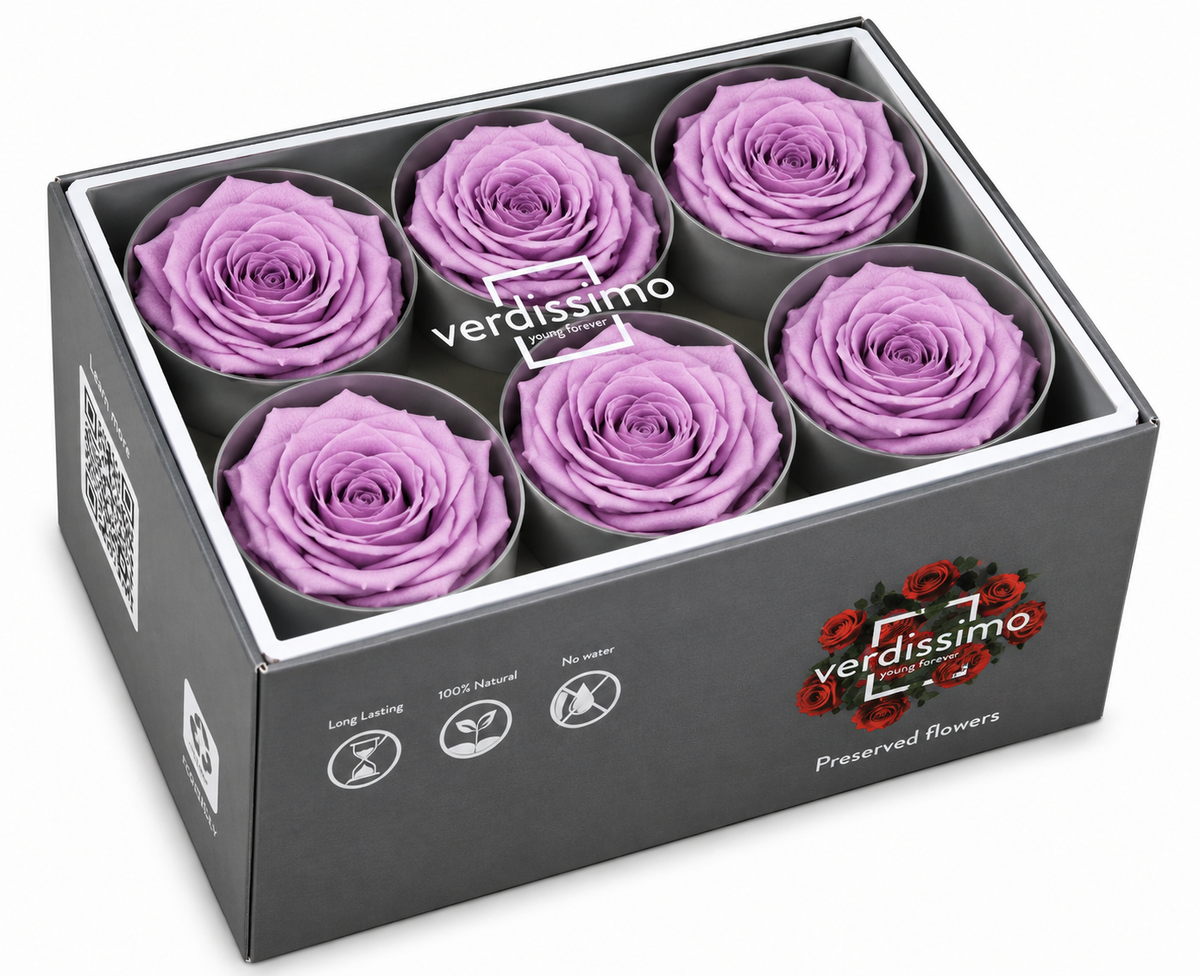 Rosa Standard preservadas