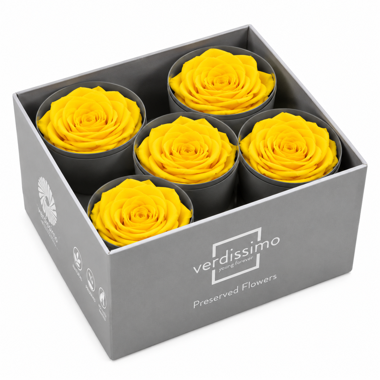 Rosa Reina Preservada – Flor Natural de Gran Tamaño