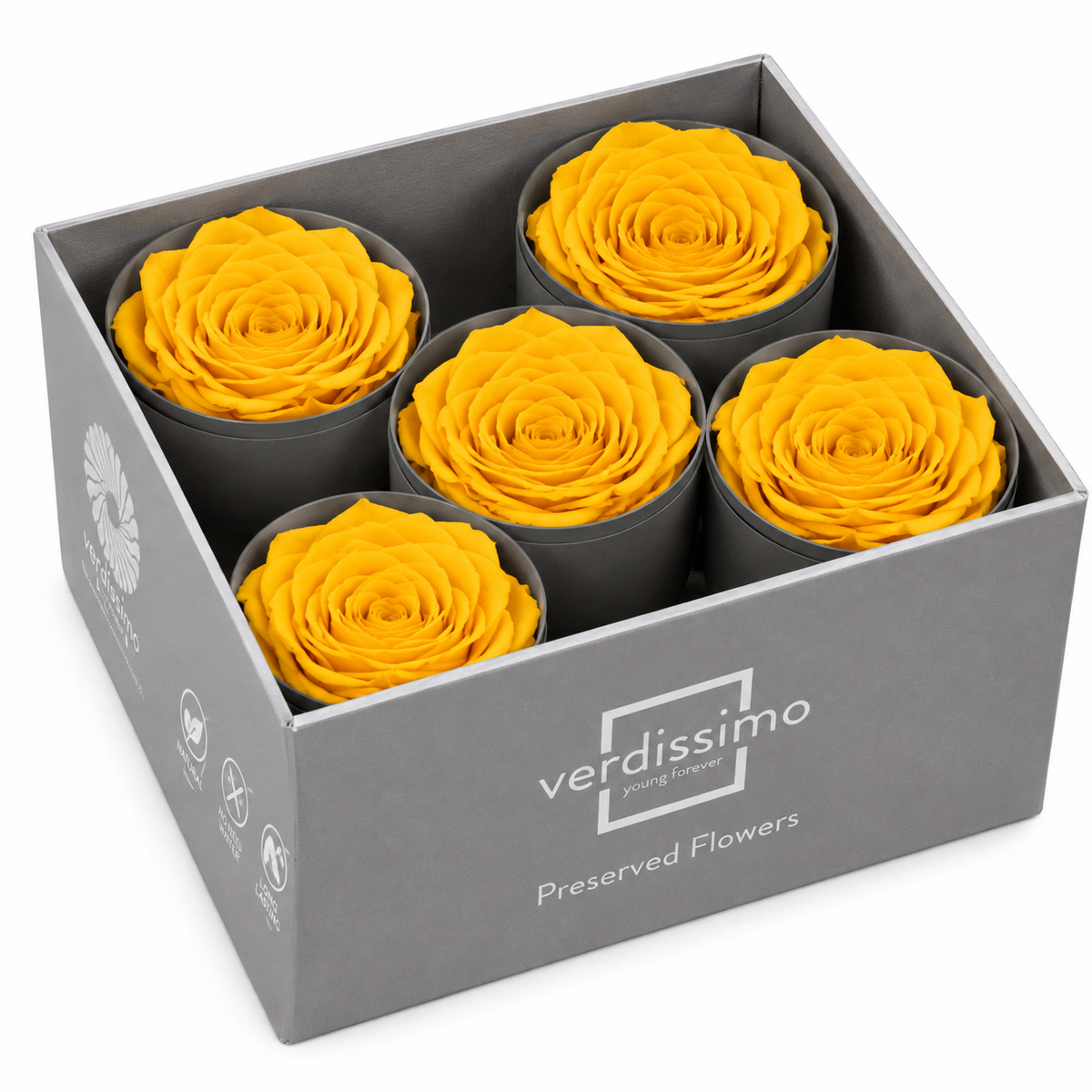 Rosa Reina Preservada – Flor Natural de Gran Tamaño