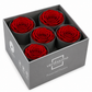 Rosa Reina Preservada – Flor Natural de Gran Tamaño