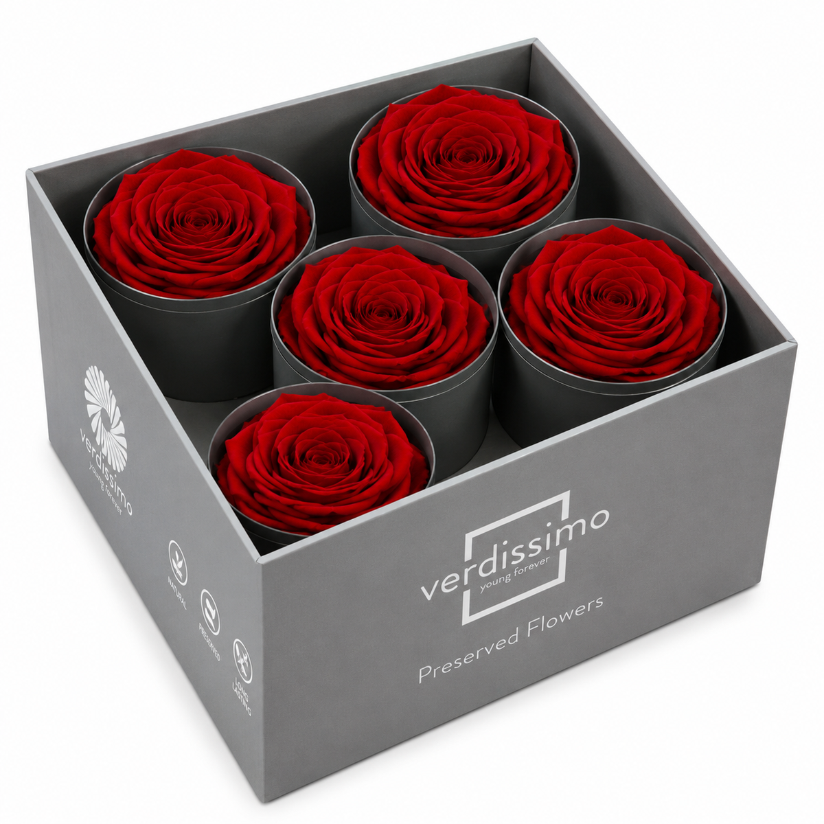 Rosa Reina Preservada – Flor Natural de Gran Tamaño