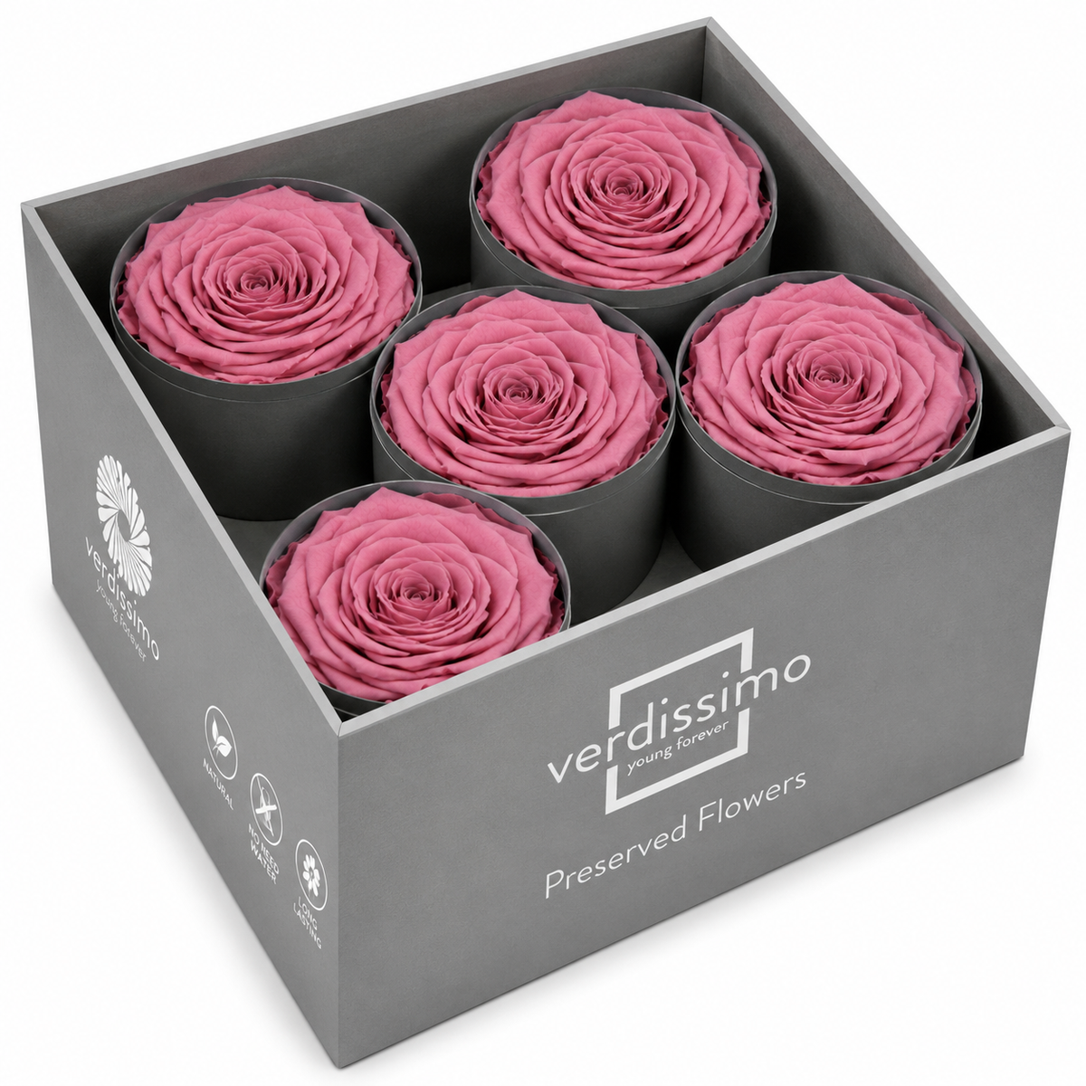 Rosa Reina Preservada – Flor Natural de Gran Tamaño