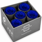 Rosa Reina Preservada – Flor Natural de Gran Tamaño