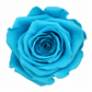 Rosa Reina Preservada – Flor Natural de Gran Tamaño