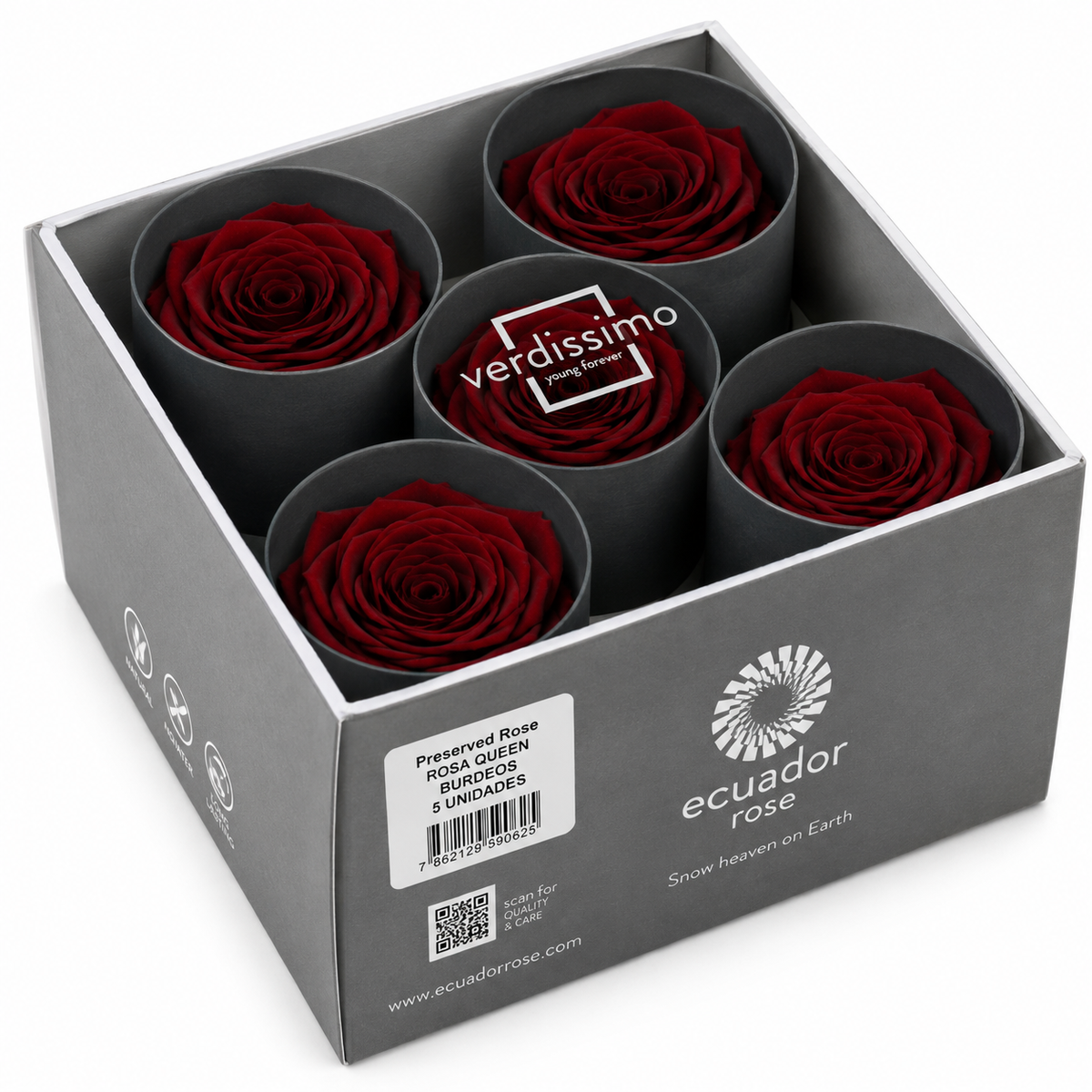 Rosa Reina Preservada – Flor Natural de Gran Tamaño