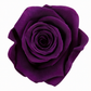 Rosa Reina Preservada – Flor Natural de Gran Tamaño