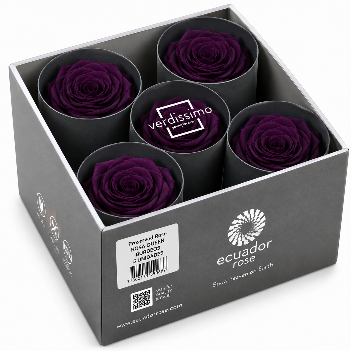 Rosa Reina Preservada – Flor Natural de Gran Tamaño