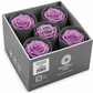 Rosa Reina Preservada – Flor Natural de Gran Tamaño