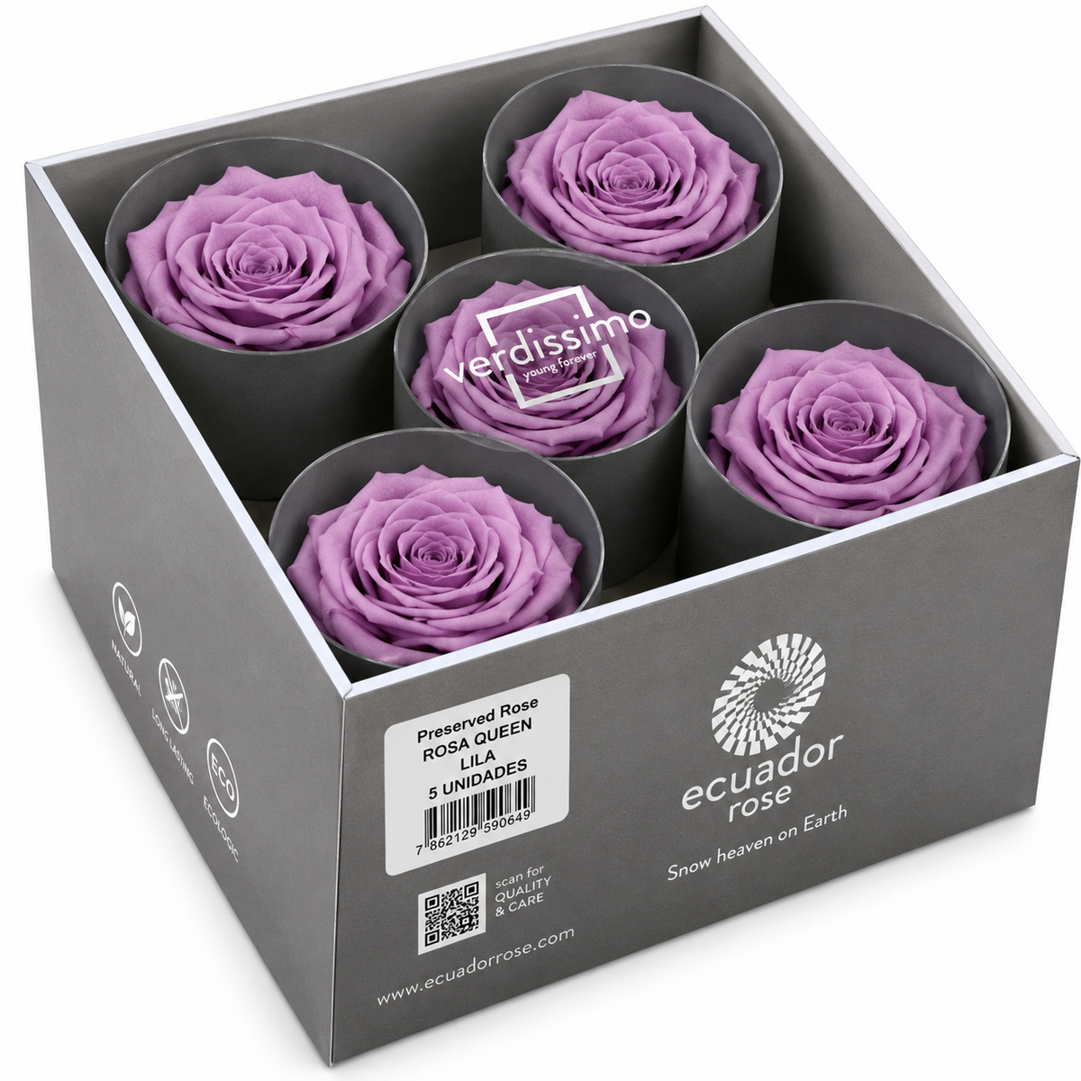 Rosa Reina Preservada – Flor Natural de Gran Tamaño