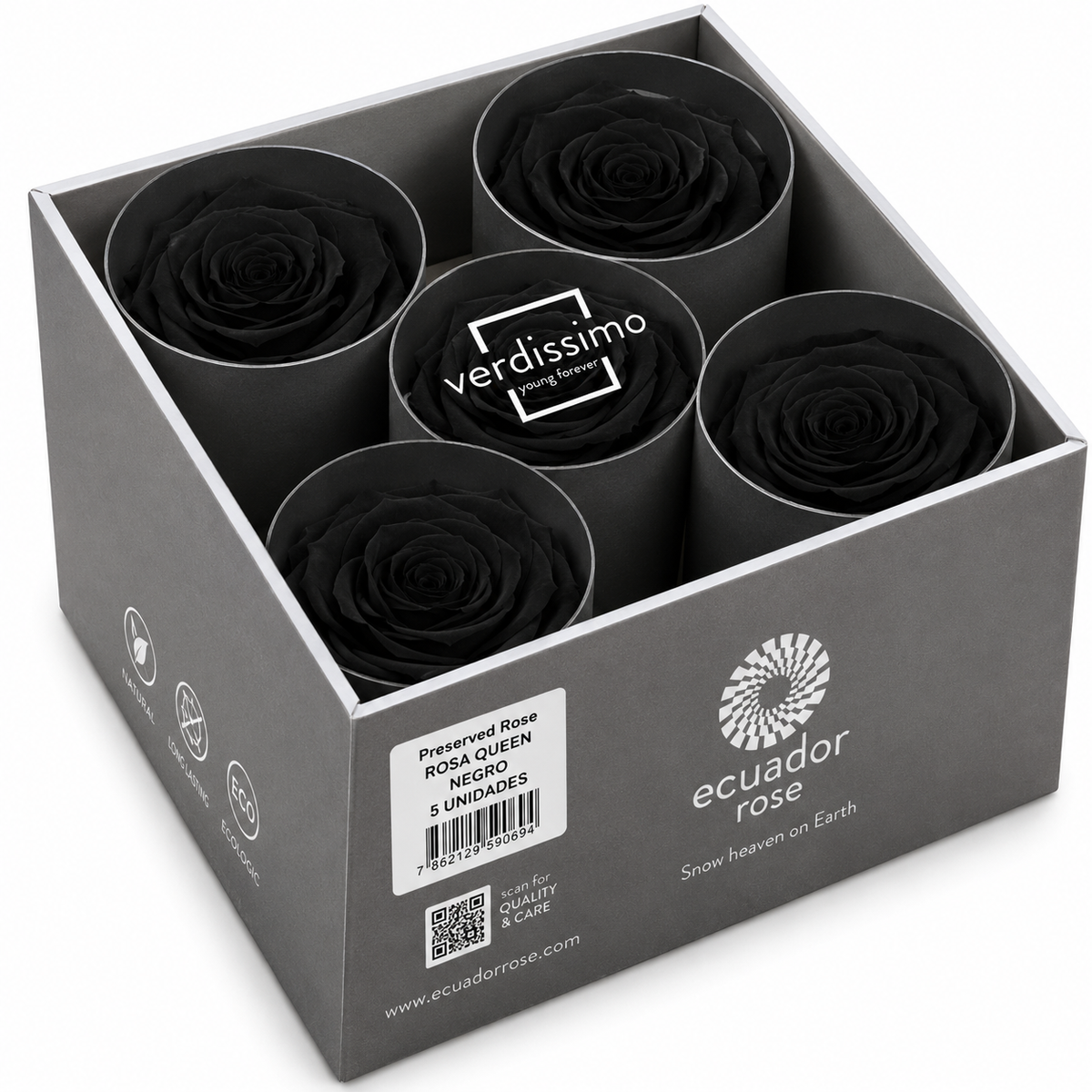 Rosa Reina Preservada – Flor Natural de Gran Tamaño