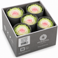 Rosa Reina Preservada – Flor Natural de Gran Tamaño