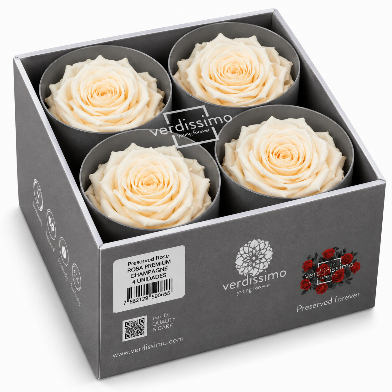 Rosa  Premiun Preservada  La grandeza de una rosa