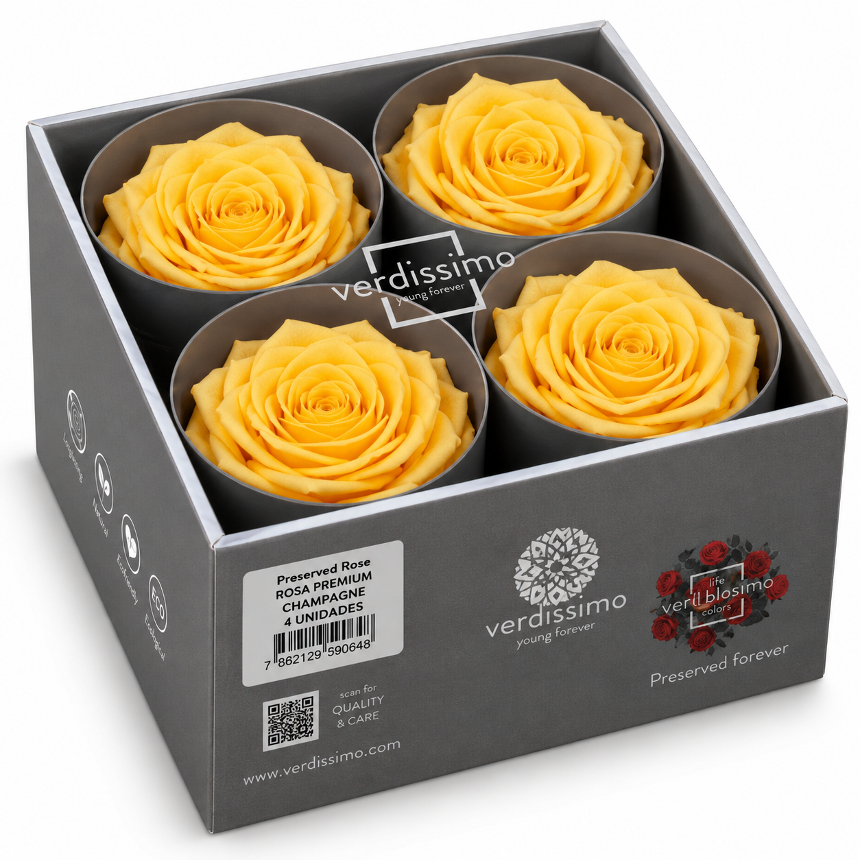 Rosa  Premiun Preservada  La grandeza de una rosa