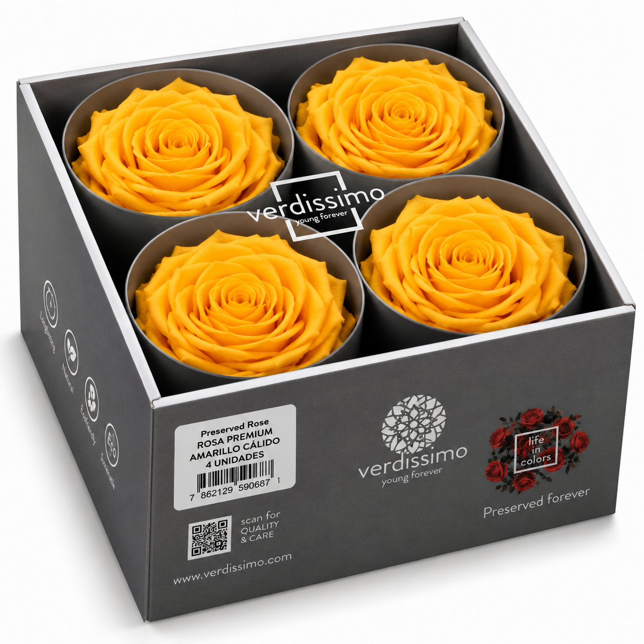 Rosa  Premiun Preservada  La grandeza de una rosa
