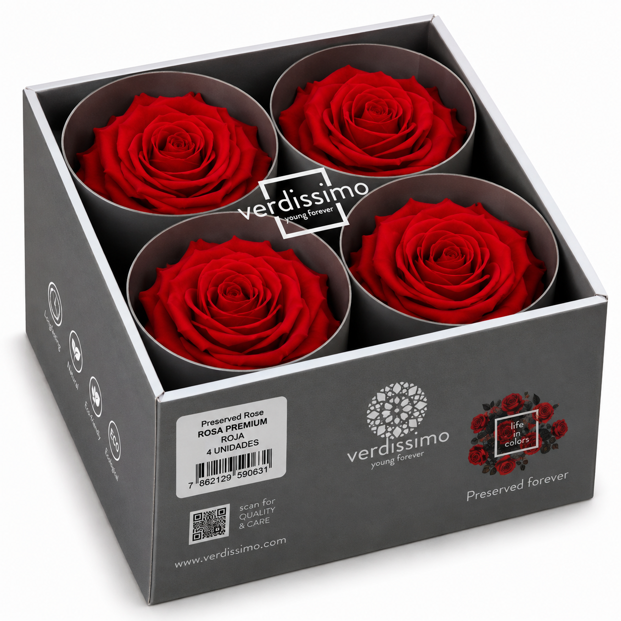 Rosa  Premiun Preservada  La grandeza de una rosa