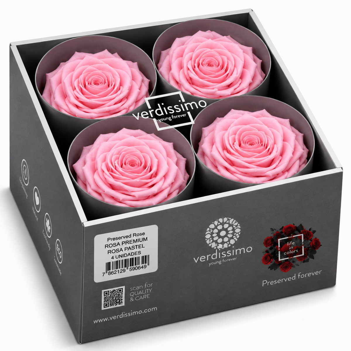 Rosa  Premiun Preservada  La grandeza de una rosa