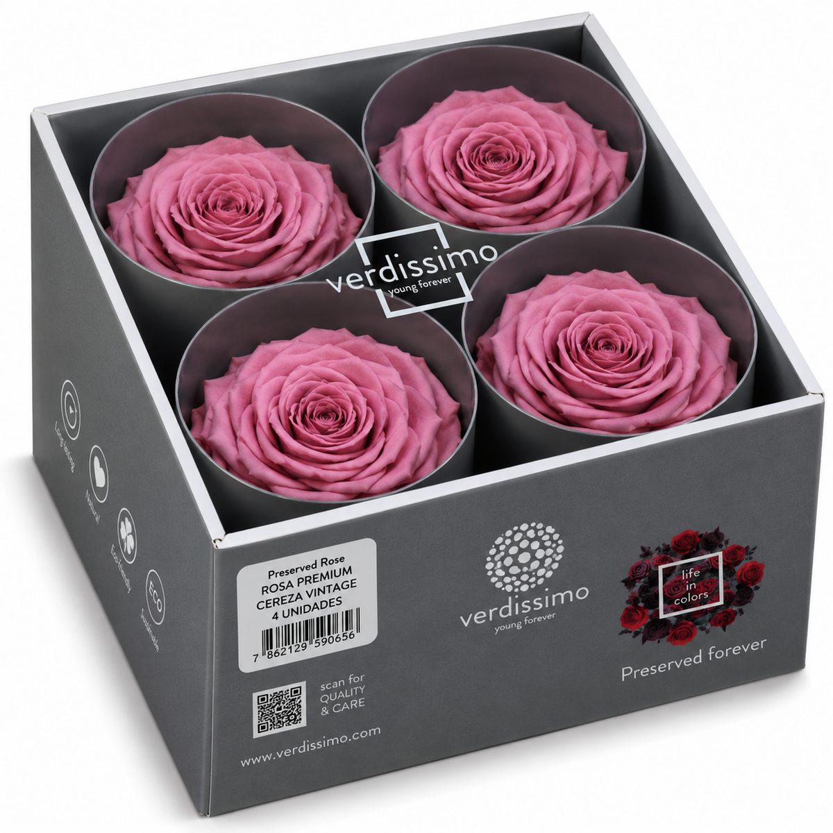 Rosa  Premiun Preservada  La grandeza de una rosa