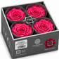 Rosa  Premiun Preservada  La grandeza de una rosa