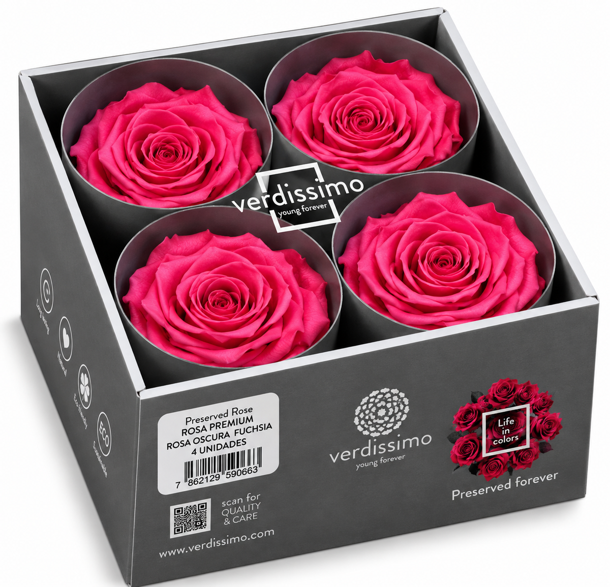 Rosa  Premiun Preservada  La grandeza de una rosa