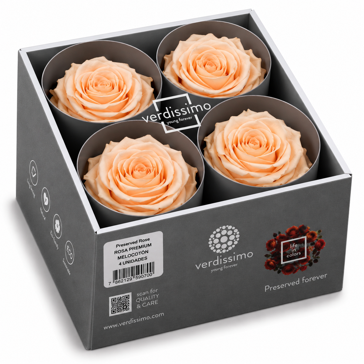 Rosa  Premiun Preservada  La grandeza de una rosa