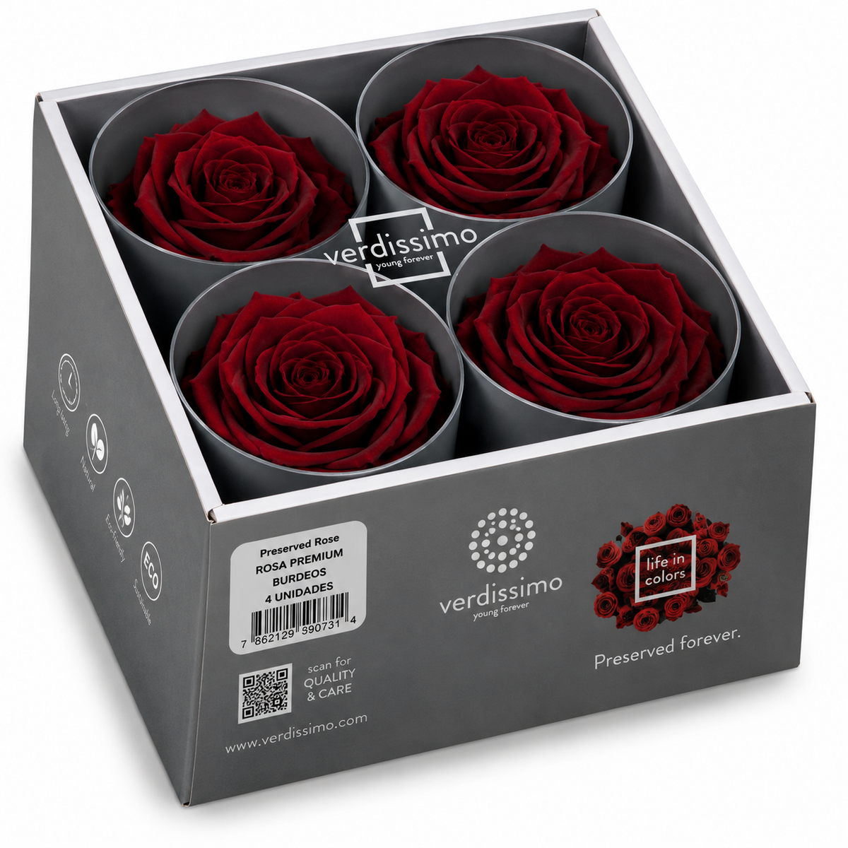 Rosa  Premiun Preservada  La grandeza de una rosa