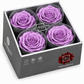 Rosa  Premiun Preservada  La grandeza de una rosa