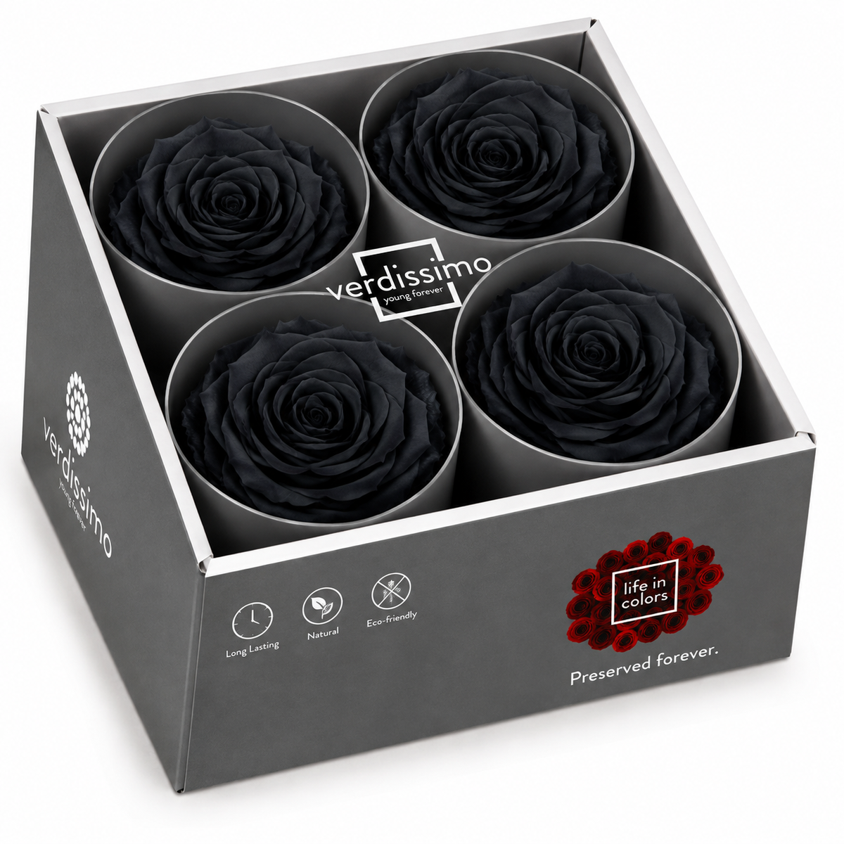 Rosa  Premiun Preservada  La grandeza de una rosa