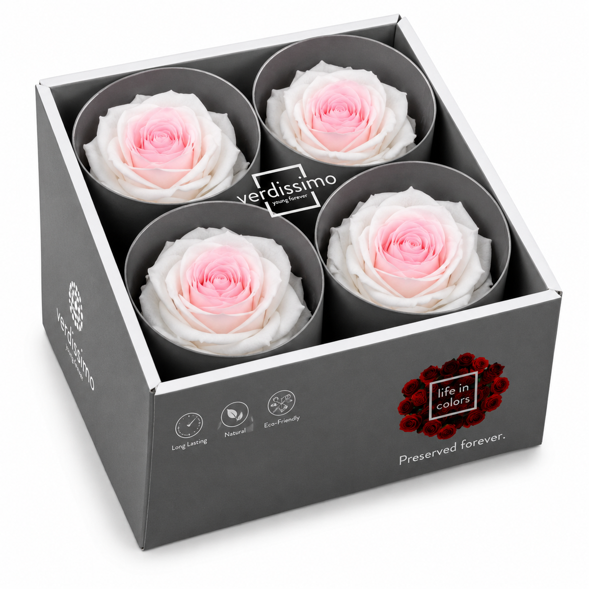 Rosa  Premiun Preservada  La grandeza de una rosa