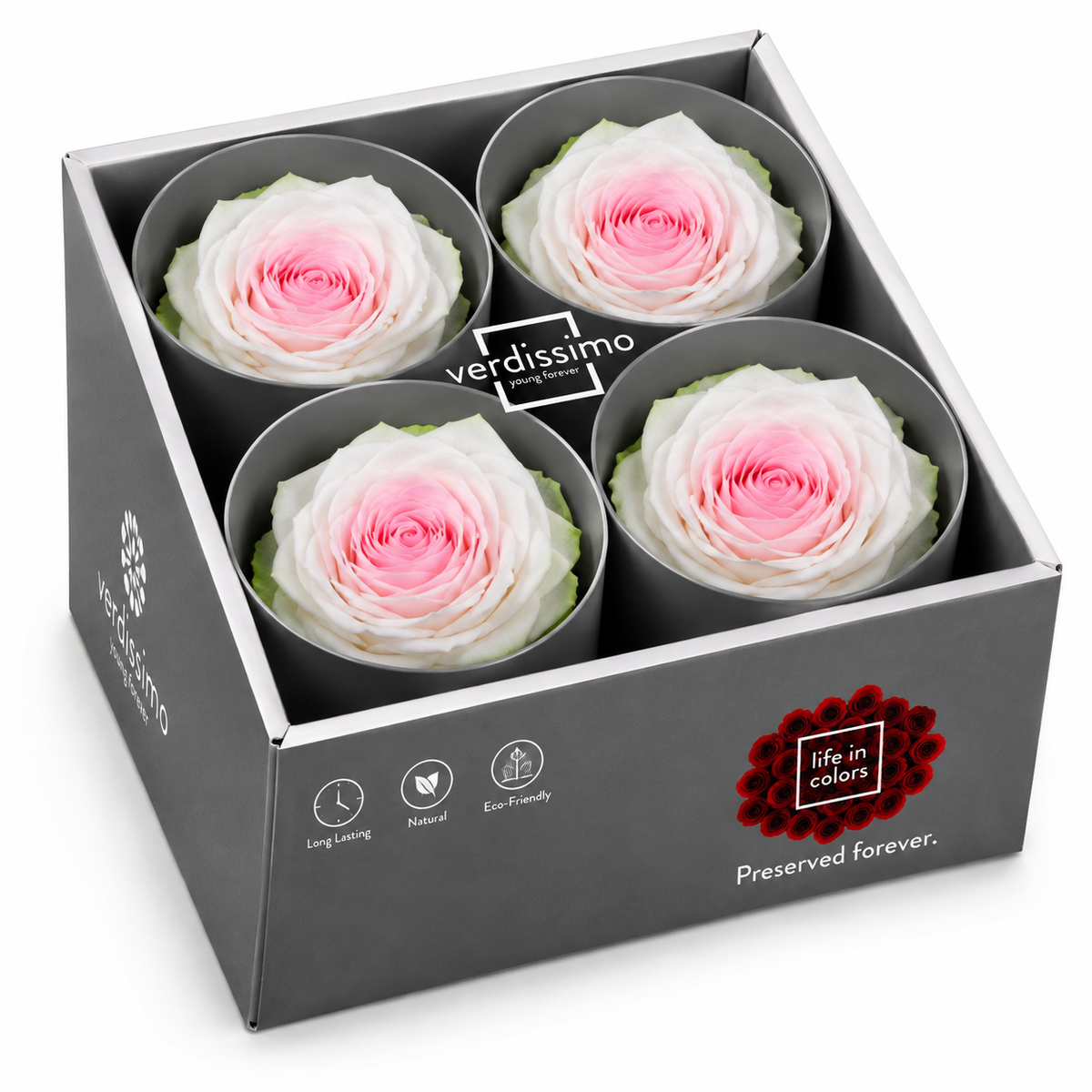 Rosa  Premiun Preservada  La grandeza de una rosa