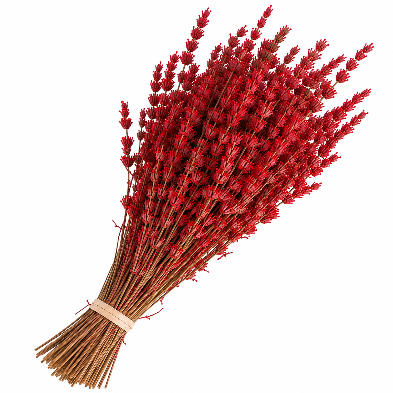 Lavanda roja preservada