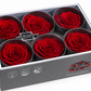Rosa Standard preservadas