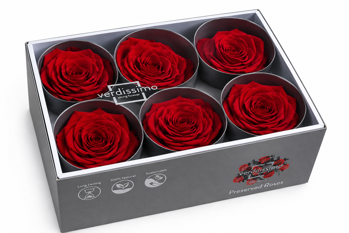 Rosa Standard preservadas