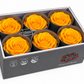 Rosa Standard preservadas
