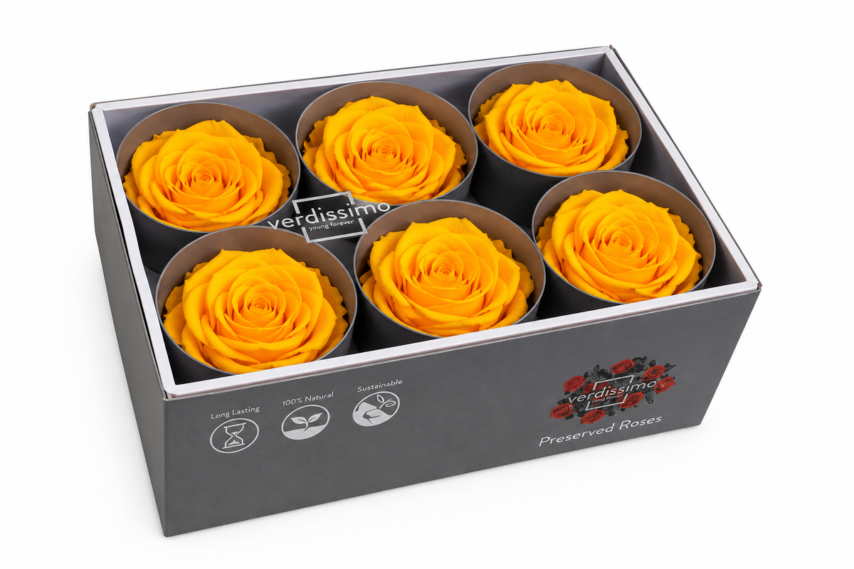 Rosa Standard preservadas