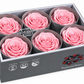 Rosa Standard preservadas
