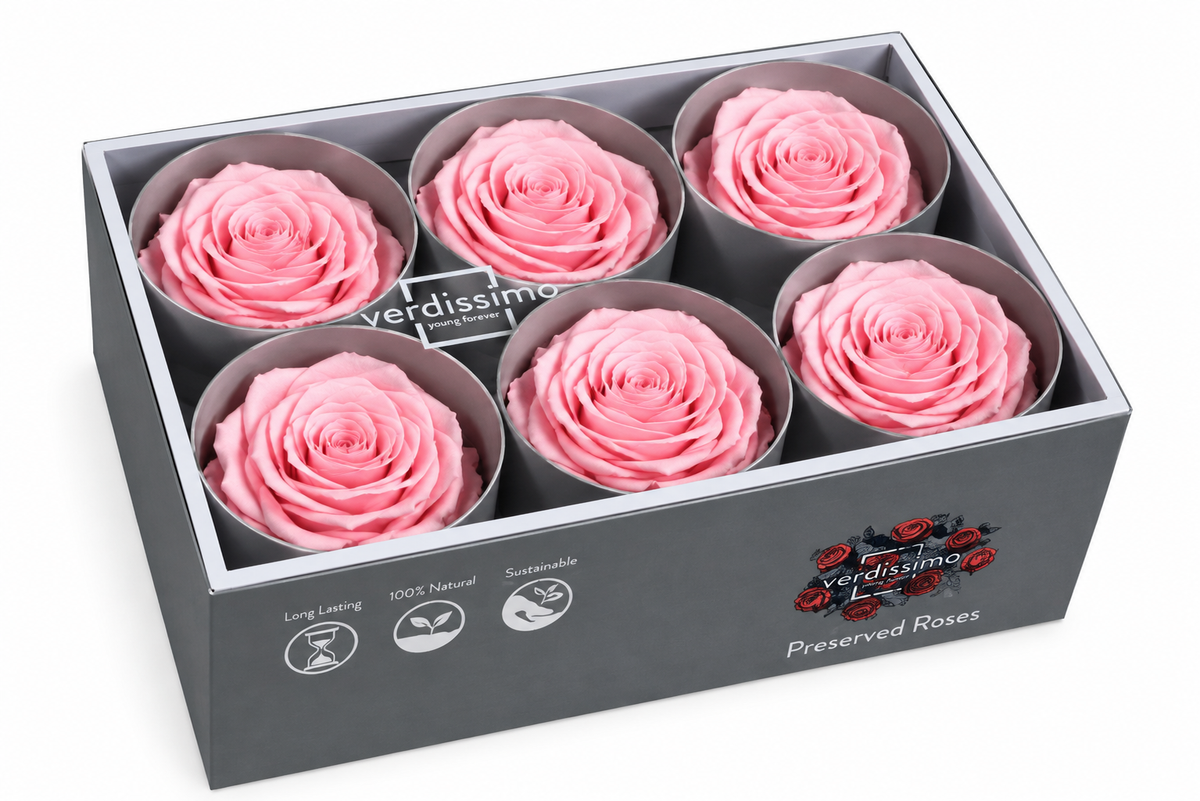 Rosa Standard preservadas