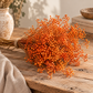 Gypsófila naranja preservada (paniculata)