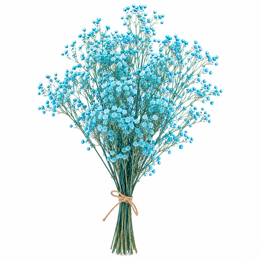 Gypsófila azul claro preservada (paniculata)