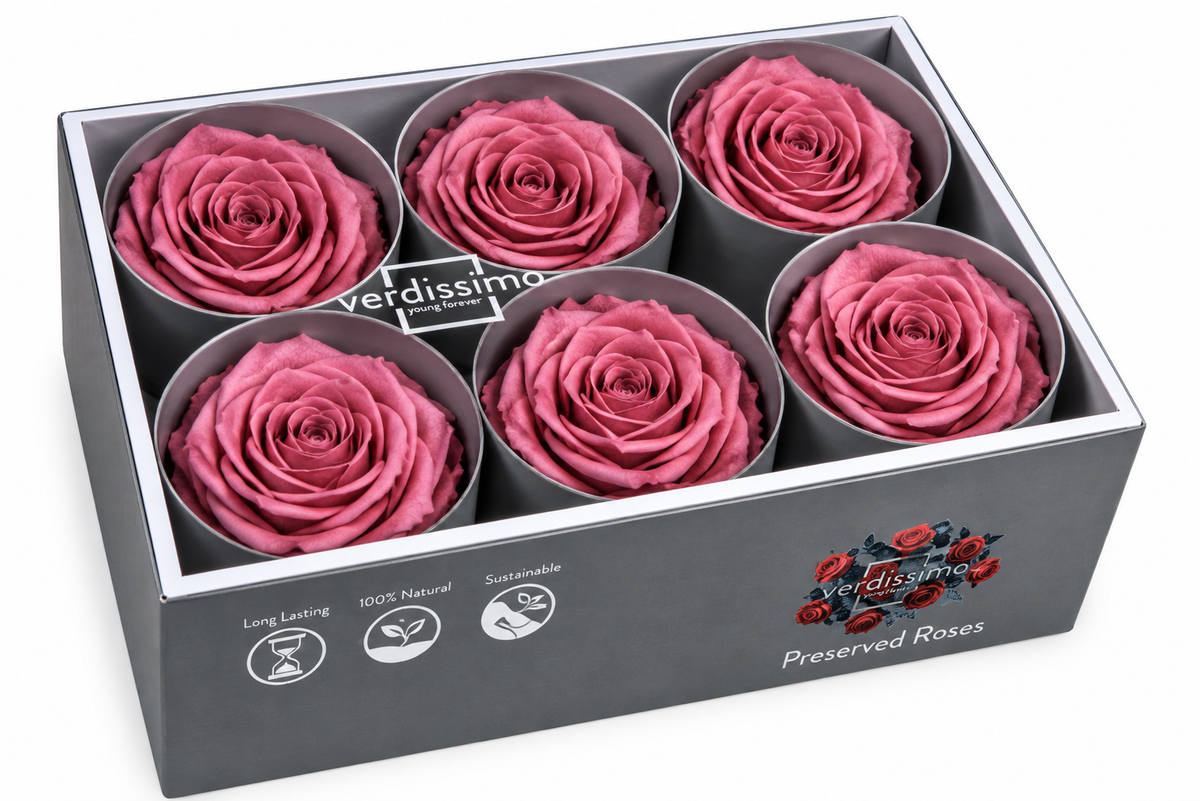 Rosa Standard preservadas