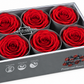 Rosa Standard preservadas