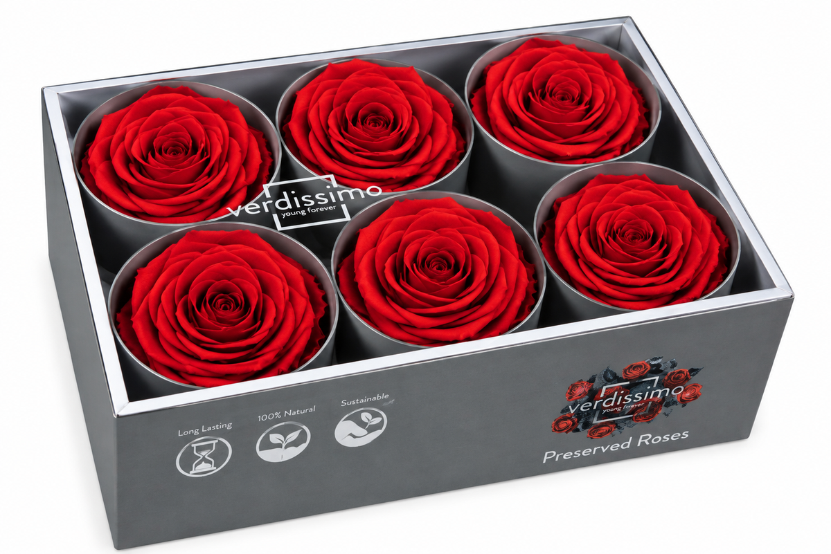 Rosa Standard preservadas