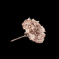 Hortensia Avellana Preservada – Verdissimo | Pampaseca